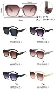 PC plastic sunglasses with metal hinge 6172W