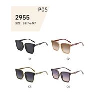 Polarized metal + TR90 sunglasses P05KY 2955
