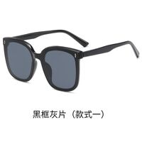 Sunglasses V352-353-361