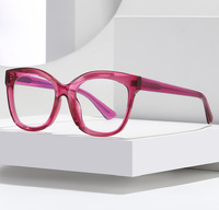 Plastic frames for glasses TR90+CA material (flex hinges) FOCUS FCS2101