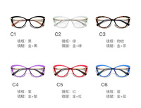 Plastic frames for glasses TR90+CA material (flex hinges) FOCUS FCS2111