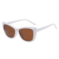 Plastic frame with flex + polarized sun protection magnet clip-on El Dorado EL2349D