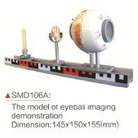 Anatomical eye model with demonstration of the image of the eyeball SMD106A