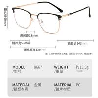 Metal glasses with blue light and UV protection 9667-2-GT