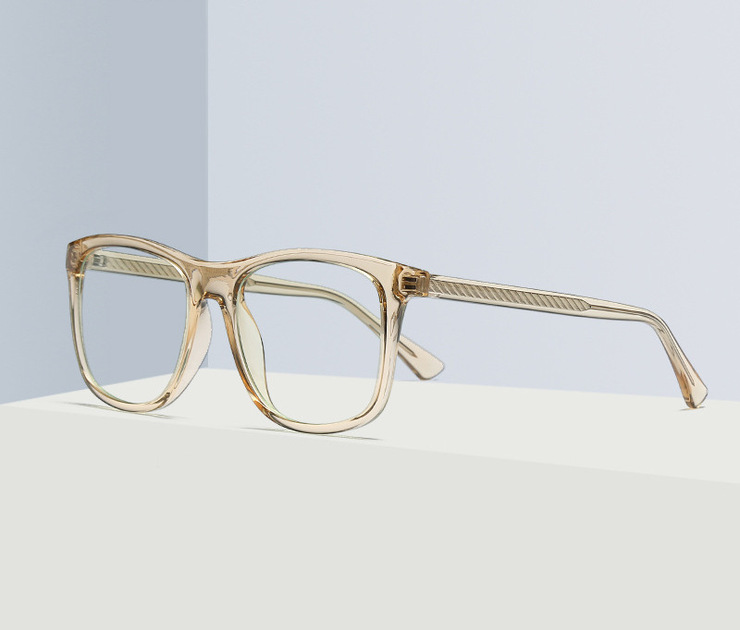 Plastic frames for glasses TR90+CA material (flex hinges) FOCUS FCS2022