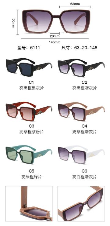 PC plastic sunglasses with metal hinge 6111W