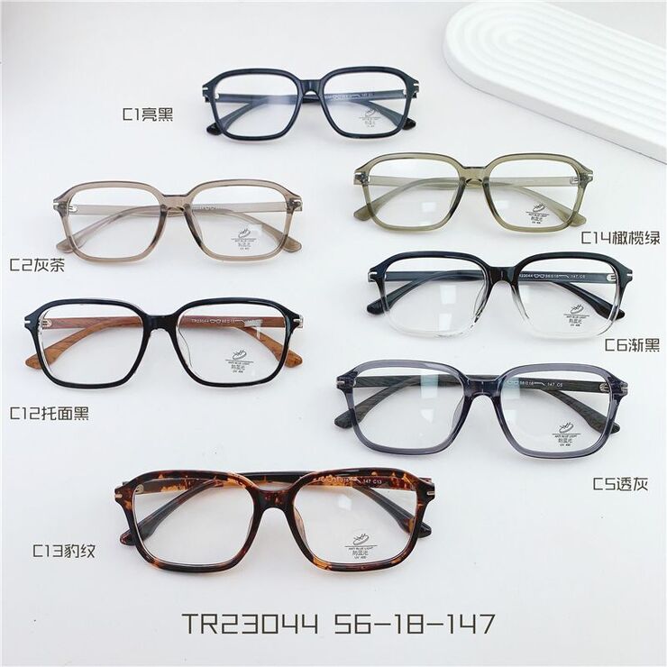 TR90 plastic frame with Blue Block coating SANTA TR23044