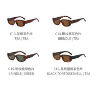 Polarized plastic sunglasses with UV400 protection 9071-GT