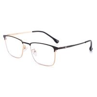 Metal glasses with blue light and UV protection 9683-2-GT
