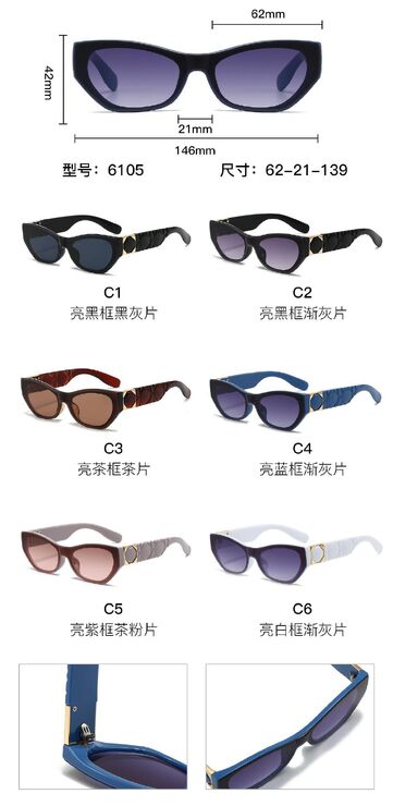 PC plastic sunglasses with metal hinge 6105W
