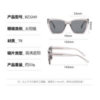 Plastic sunglasses with square frame for men Elit BZ3249-EL