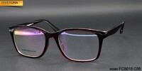 Plastic frames for glasses TR-90 + CA material (flex hinges) FOCUS FCS015