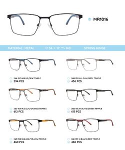 Металлическая оправа с дужками из материала TR-90 со встроенным флексом MR1016