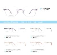 Titanium metal rimless frame TW3017