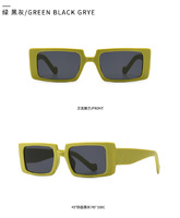 Sunglasses Elit modern 21010