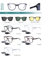 Plastic acetate frame, with flex hinges + polarized clip-on Big City F3001S