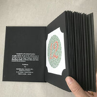 Set of 38 test charts for the color blindness diagnosis