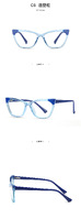 Plastic frames for glasses TR90+CA material (flex hinges) FOCUS FCS2040