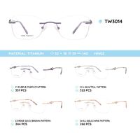 Titanium metal rimless frame TW3014