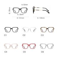 Plastic TR90 + metal frames for glasses with Blue Ray Cut protection and flex hinges FOCUS FCS2212