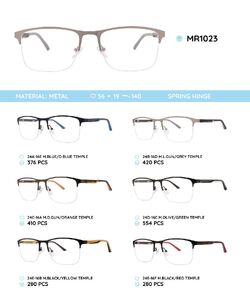 Металлическая оправа с дужками из материала TR-90 со встроенным флексом MR1023