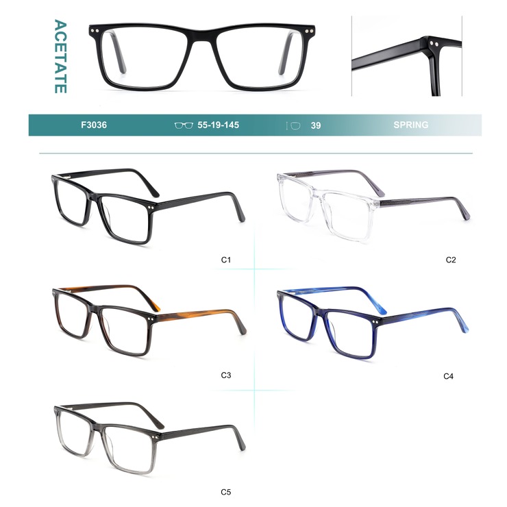 Acetate plastic frames for glasses with spring hinges Big City F3036