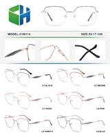 Оправа металлическая с флексом CH6114-DA