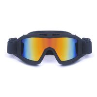 Safety shockproof tactical fog-proof goggles 蝗虫大集合-DX