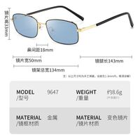 Photochromic glasses with blue light and UV protection 9647-2-GT