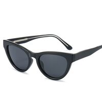 Polarized plastic TR90 sunglasses with UV400 protection 6012-GT