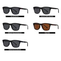 Plastic polarized men's sunglasses Elit 2384-EL