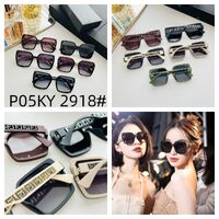 Polarized metal + TR90 sunglasses P05KY 2918