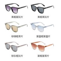 Plastic square sunglasses for men Elit 3633-EL