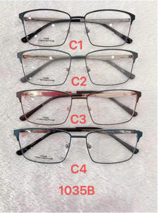 Metal frames for glasses Polar Fashion 1035B