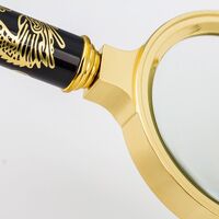 Magnifier, magnifying glass with a handle with a dragon pattern S龙柄100-XX, diameter: 100 mm, magnification: 5X