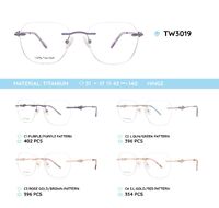 Titanium metal rimless frame TW3019