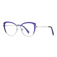 Metal Blue Blocker frames for glasses More FCS3120