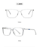 Plastic frames for glasses TR90+CA material (flex hinges) FOCUS FCS2084