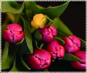 Салфетка для ухода за очками с принтом, материал микрофибра, в индивидуальной упаковке ТЮЛЬПАНЫ, 17,5 *14,5 см