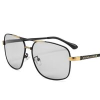 Очки металлические фотохромные с защитой от синего света 2873-GT