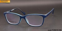 Plastic frames for glasses TR-90 + CA material (flex hinges) FOCUS FCS010