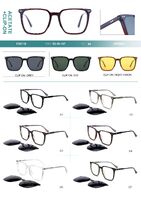 Plastic acetate frame with flex hinges + polarized clip-on Big City F3011S