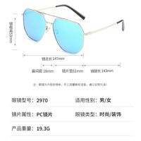 Polarized metal sunglasses with UV400 protection 2970-GT