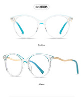 Оправа пластиковая, материал TR-90+CA (флекс!) FOCUS FCS2067