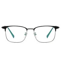 Оправа титановая SANTA T9010