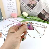 Оправа гибридная, металл + пластик, линзы с Blue Block покрытием SANTA 1568