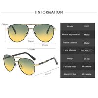 Polarized metal sunglasses with UV400 protection 2813-3-GT