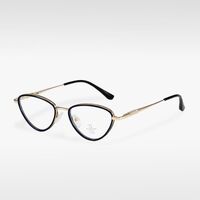 Combined frames with Blue Ray Cut lenses and flex MAMO M2500