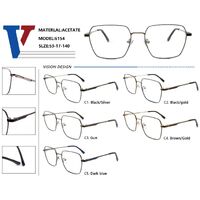 Оправа металлическая с флексом CH6154-DA