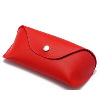 Sunglasses and eyeglasses hard shell case JQ004